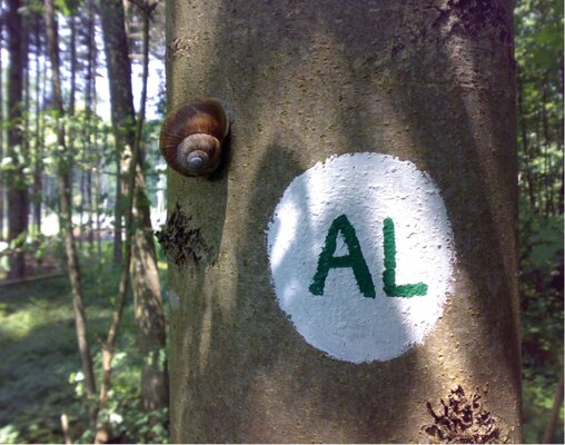 Bild3