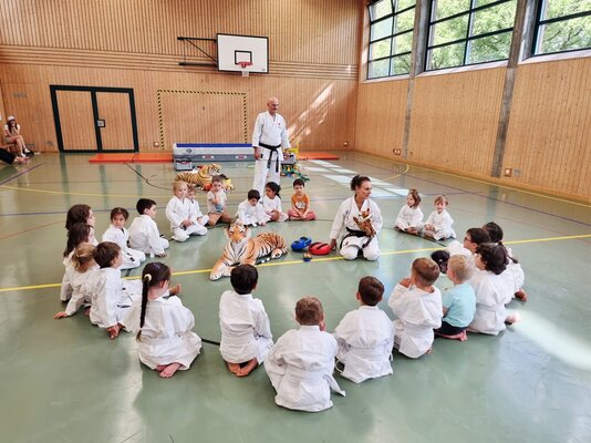 an_3826_bonsaikarate3